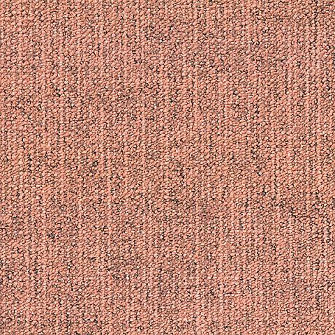 Canvas 220