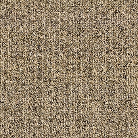 Canvas 815