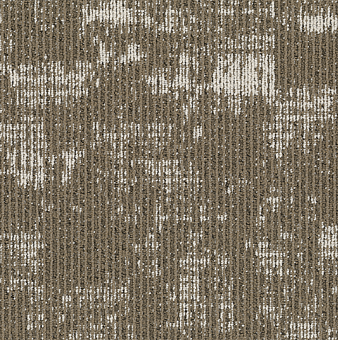 NEG 817 PINE