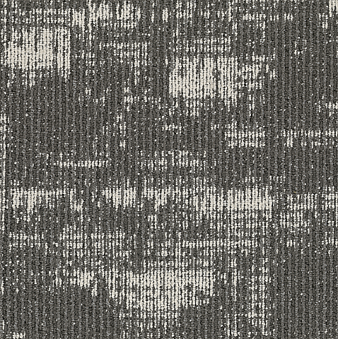 NEG 981 FOSSIL
