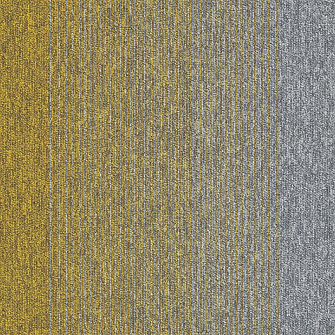 Connexion 206